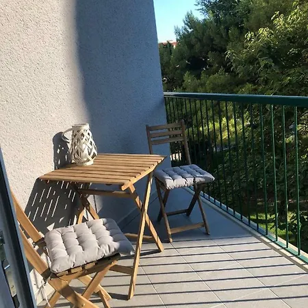 Marina Guest house *
