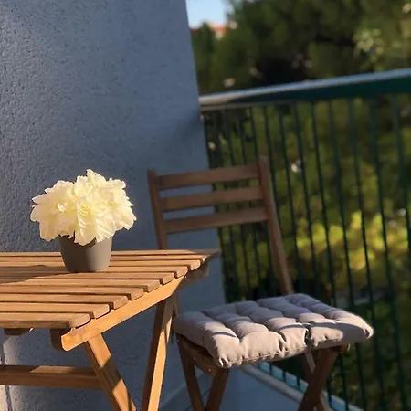 Marina Guest house *
